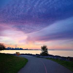 Meet your Posher, Lyly